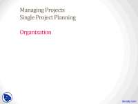 Single Project Organization - Project Management - Lecture Slides - Docsity