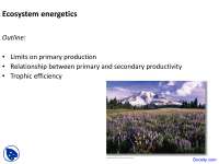 Ecosystem Energetics - Ecology - Lecture Slides