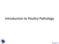 Introduction to Poultry Pathology - Poultry Pathology - Lecture Slides ...