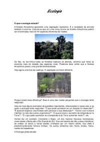 O que a ecologia estuda? A floresta Amazôni
