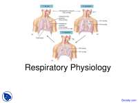 Respiratory Physiology - Physiology - Lecture Slides - Docsity