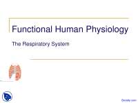 Respiratory System - Physiology - Lecture Slides - Docsity
