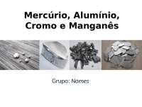 Manganês, Mercúrio, Alumínio, Cromo - Toxicologia
