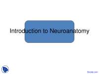 Introduction to Neuroanatomy - Neurobiology - Lecture Slides