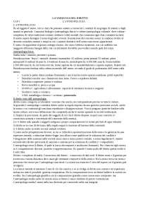 Diritto e Società: Un'analisi Antropologica
