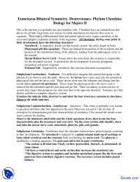 Phylum Chordata - Animal Form, Function and Diversity - Lab Handout ...