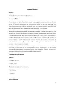 Relatorio Espelho Côncavo