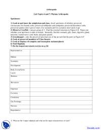 Arthropoda - Biology of Organisms - Lecture Handouts - Docsity