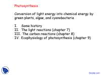 Photosynthesis - Plant Physiology - Lecture Slides - Docsity