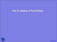 Evolution of Seed Plants - Exploring Biology - Lecture Slides - Docsity