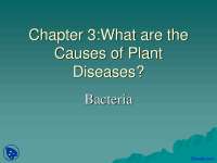 Bacteria - Plant Pathology - Lecture Slides - Docsity