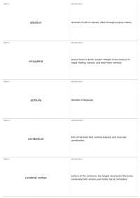 Neuroanatomy and Neuropsychology Terms
