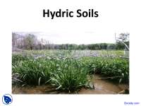 Hydric Soils - Wetland and Riparian Ecology - Lecture Slides