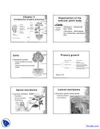 Plant Structure - Fundamentals of Botany - Lecture Slides - Docsity