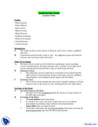 Cardiovascular System - Physiology and Anatomy - Lecture Notes - Docsity