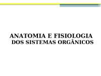 Revisão anatômica basica