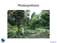 Photosynthesis - Principles of Biology - Lecture Slides - Docsity
