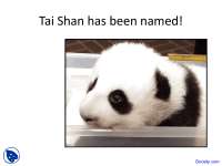 Tai Shan - Civil Procedure - Lecture Slides