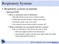 Respiratory Systems in Animals - Principles of Biology - Lecture Slides ...