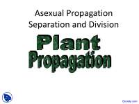 Separation and Division, Propagation - Horticulture - Lecture Slides