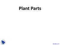 Plant Parts - Horticulture - Lecture Slides