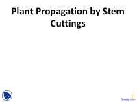 Plant Propagation by Stem Cuttings, Propagation - Horticulture - Lecture Slides