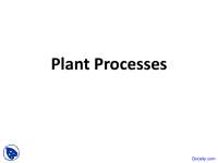 Plant Processes - Horticulture - Lecture Slides