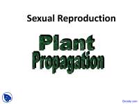 Sexual Propagation, Propagation - Horticulture - Lecture Slides