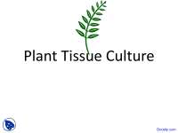 Plant Tissue, Propagation - Horticulture - Lecture Slides