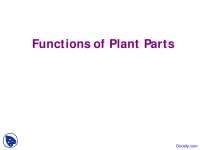 Functions of Plant Parts - Horticulture - Lecture Slides