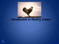 Introduction to Poultry Science, Poultry - Animal Science - Lecture ...