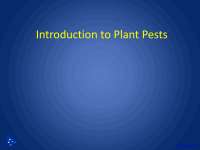 Introduction to Plant Pests, Pest Management - Horticulture - Lecture Slides