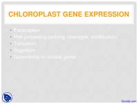 Chloroplast Gene Expression - Plant Molecular Biology - Lecture Slides