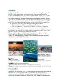 Migración Animal: Importancia y Conservación de Especies Migratorias - Prof. Martín De La 