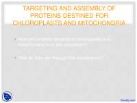 Chloroplasts and Mitochondria - Plant Molecular Biology - Lecture Slides
