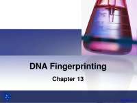 DNA Fingerprinting - Forensic Science - Lecture Slides - Docsity