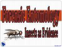 Forensic Entomology - Forensic Science - Lecture Slides