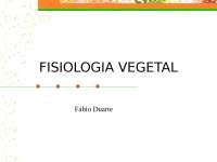 Fisiologia - vegetal