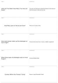 Exam 1 Review | B STR 301 - GENERAL ANATOMY - Docsity