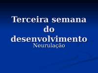 Embriologia: Desenvolvimento humano - terceira semana
