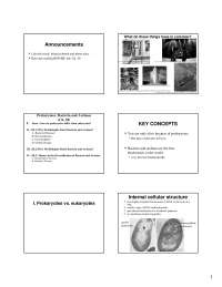 Bacteria and Archaea - Evolution, Ecology and Biodiversity - Lecture Slides