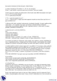 Bloqueio subaracnoide, raqui e peri-dural - Apostilas - anestesiologia