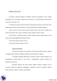 Embriologia do sistema nervoso - Apostilas - neuroanatomia