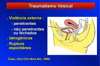 Traumatismo Urogenital - Apostilas - urologia Parte4