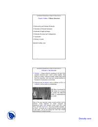 Polymer Structures - Material Science for Engineers - Lecture Slides