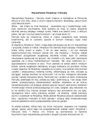 Męczeństwo Perpetuy i Felicyty - Notatki - Teologia