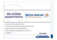 Relatório Quantitativo: Imagem da ECCO-SALVA e Satisfação em Curitiba e Porto Alegre