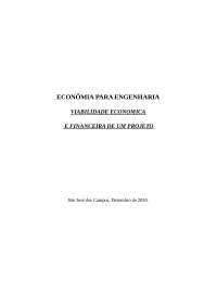 Plano viabilidade economica