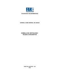 Súmula de histologia - tecido conjuntivo