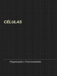 Organização e Funcionamento de Células: Tipos, Estruturas Básicas e Suas Funções